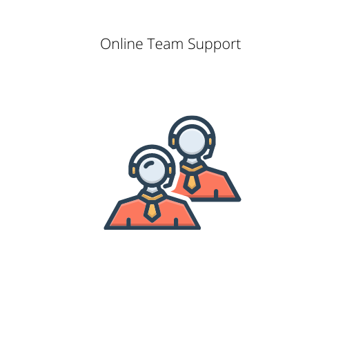 Online Team Support